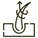 repair (1)